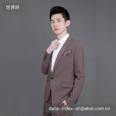 段雅
